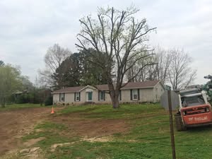 Tree removal worksite beside a Hartsville home